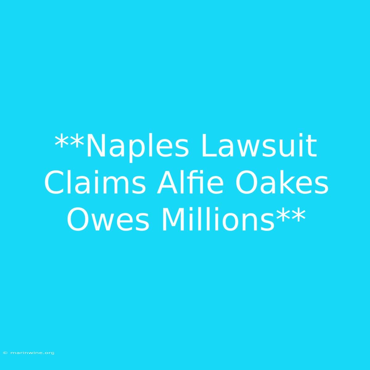 **Naples Lawsuit Claims Alfie Oakes Owes Millions**