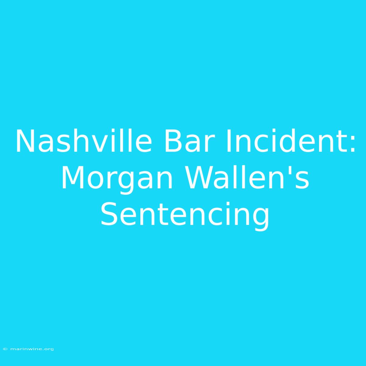 Nashville Bar Incident: Morgan Wallen's Sentencing