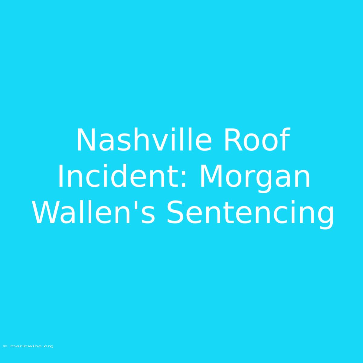 Nashville Roof Incident: Morgan Wallen's Sentencing