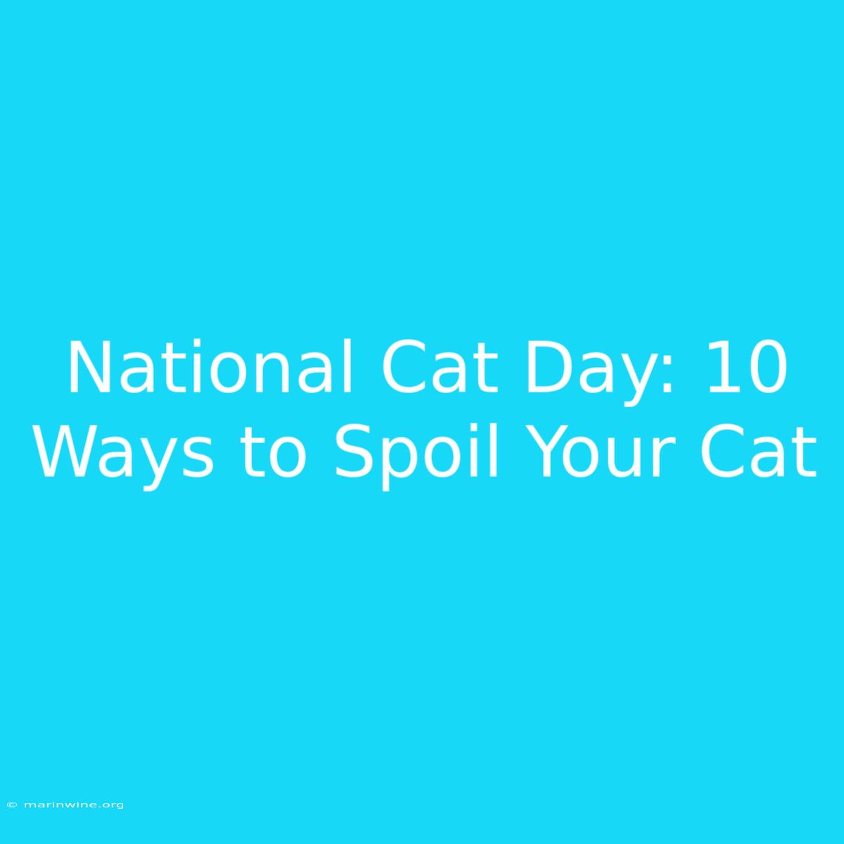 National Cat Day: 10 Ways To Spoil Your Cat