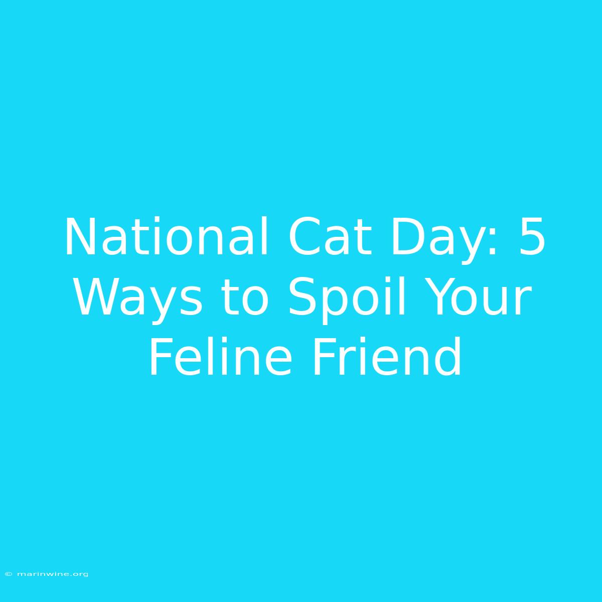 National Cat Day: 5 Ways To Spoil Your Feline Friend