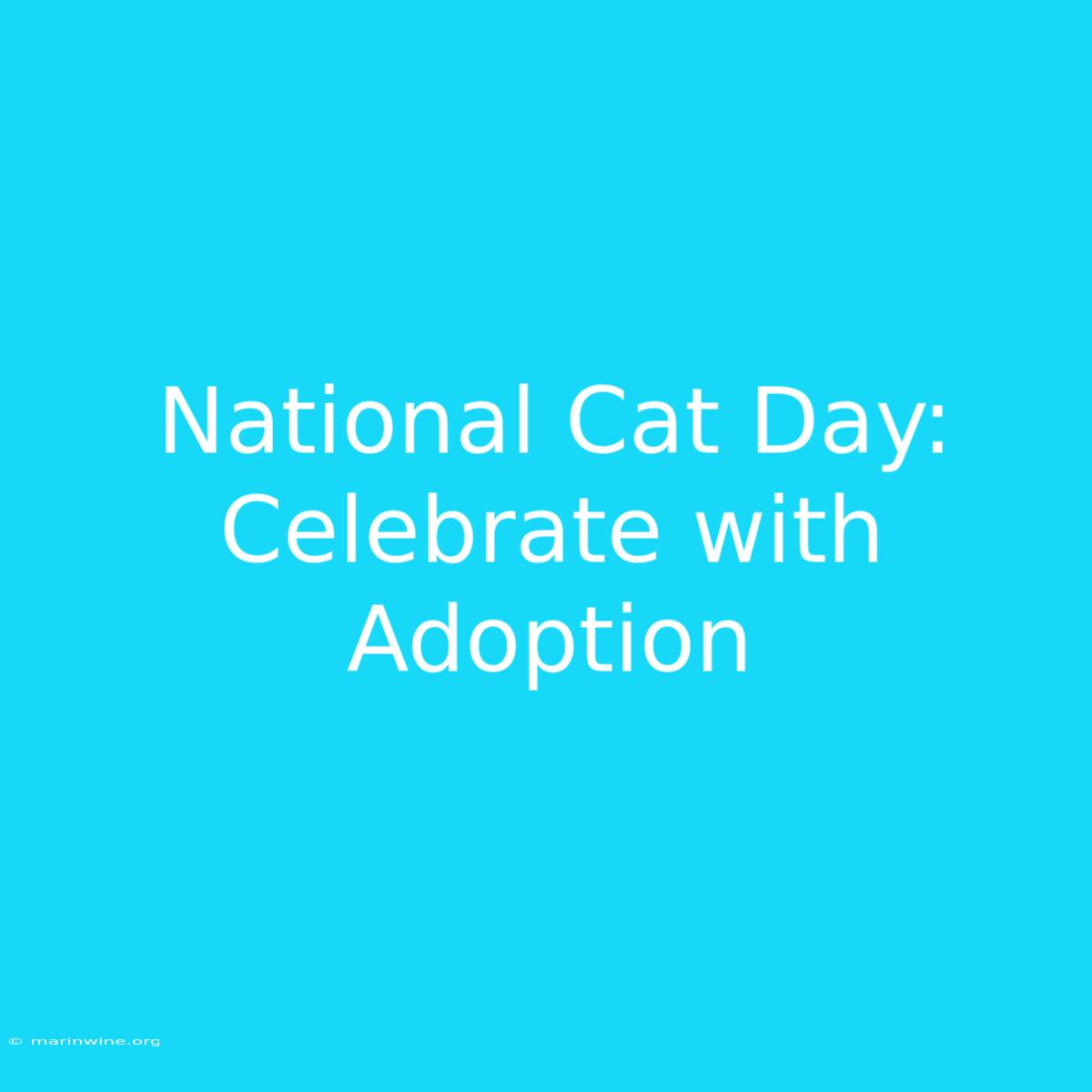 National Cat Day: Celebrate With Adoption