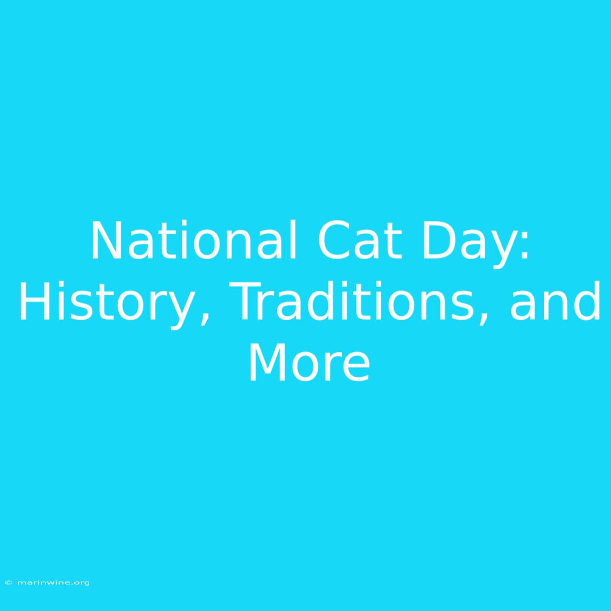 National Cat Day: History, Traditions, And More 