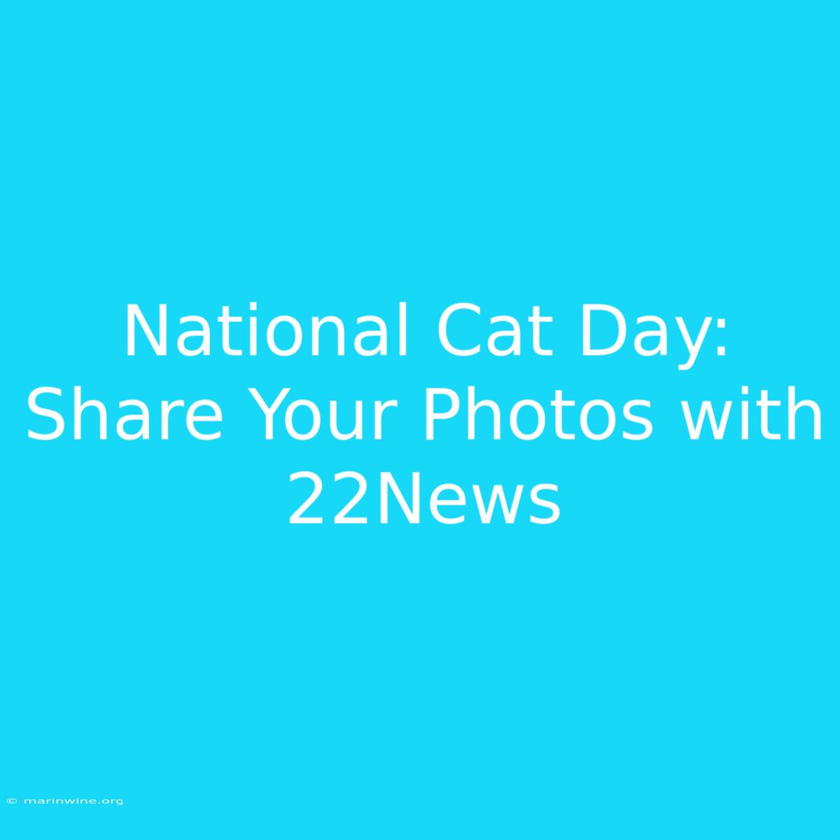 National Cat Day: Share Your Photos With 22News