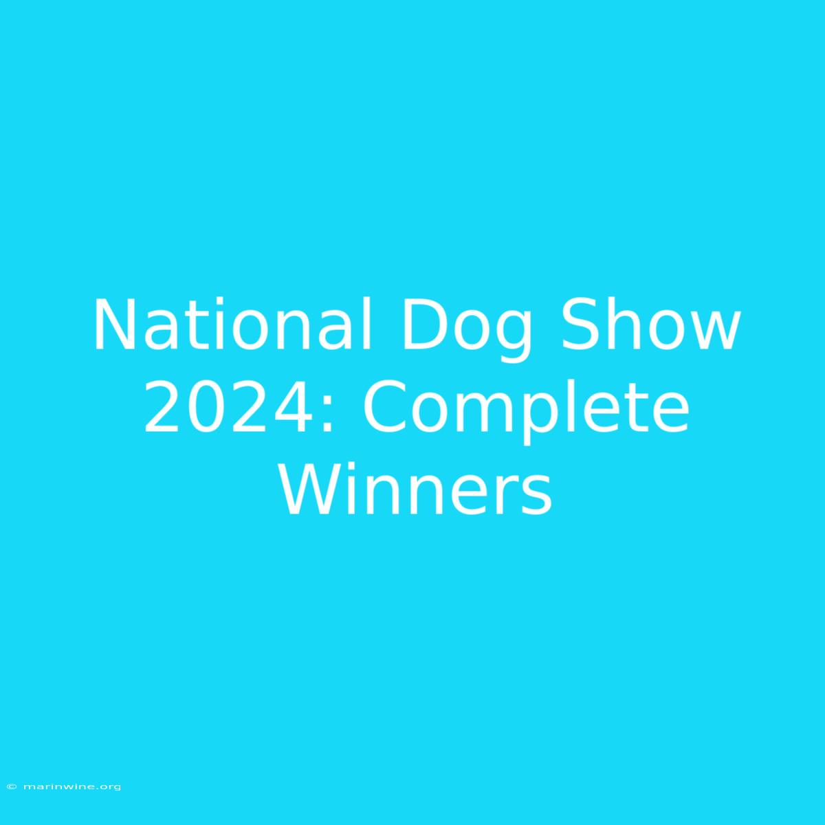 National Dog Show 2024: Complete Winners