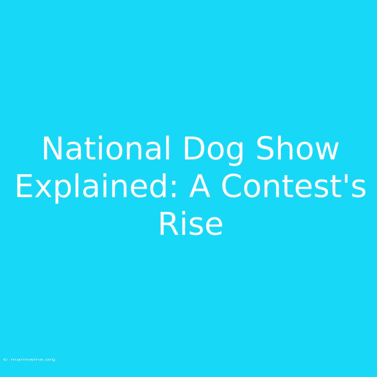 National Dog Show Explained: A Contest's Rise