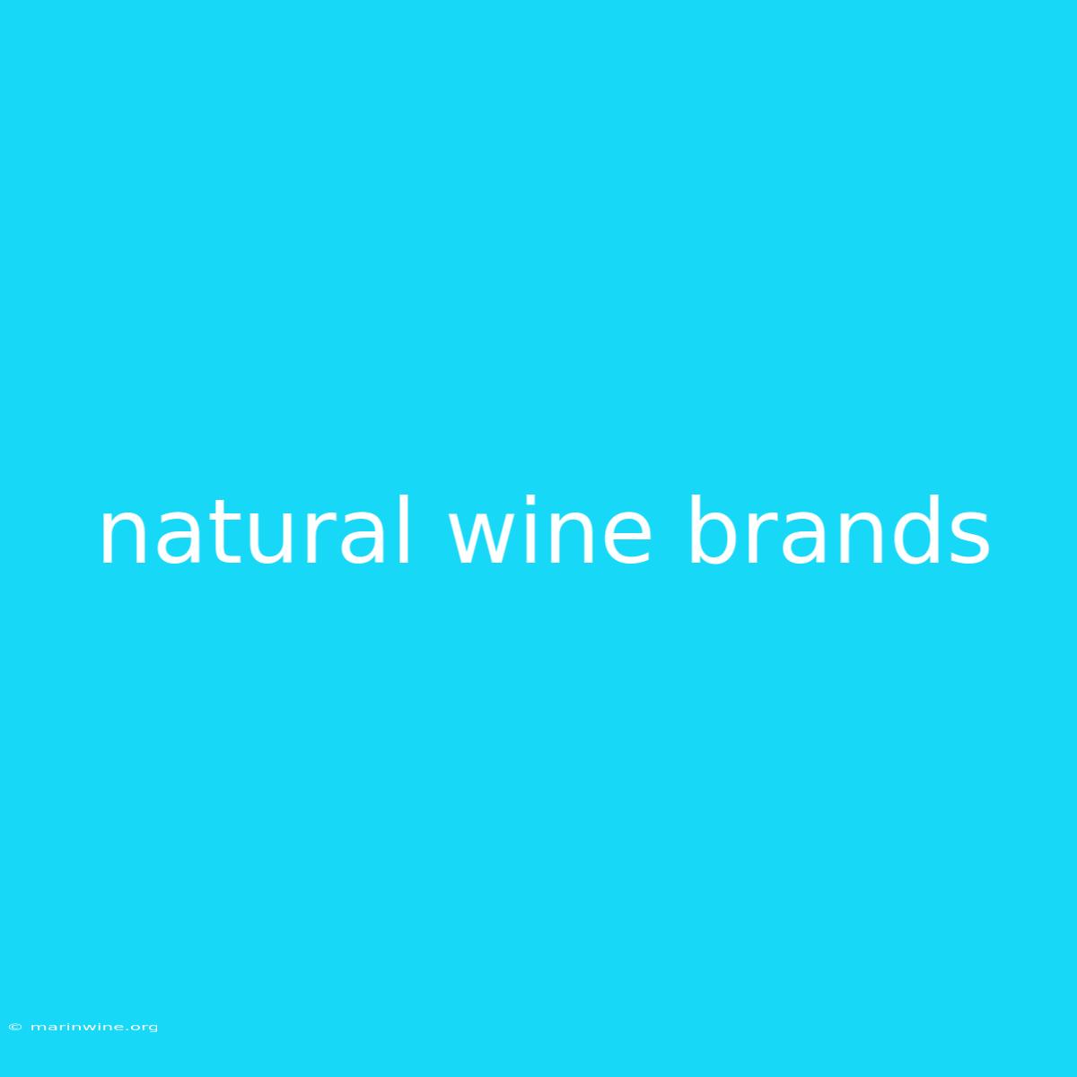 Natural Wine Brands