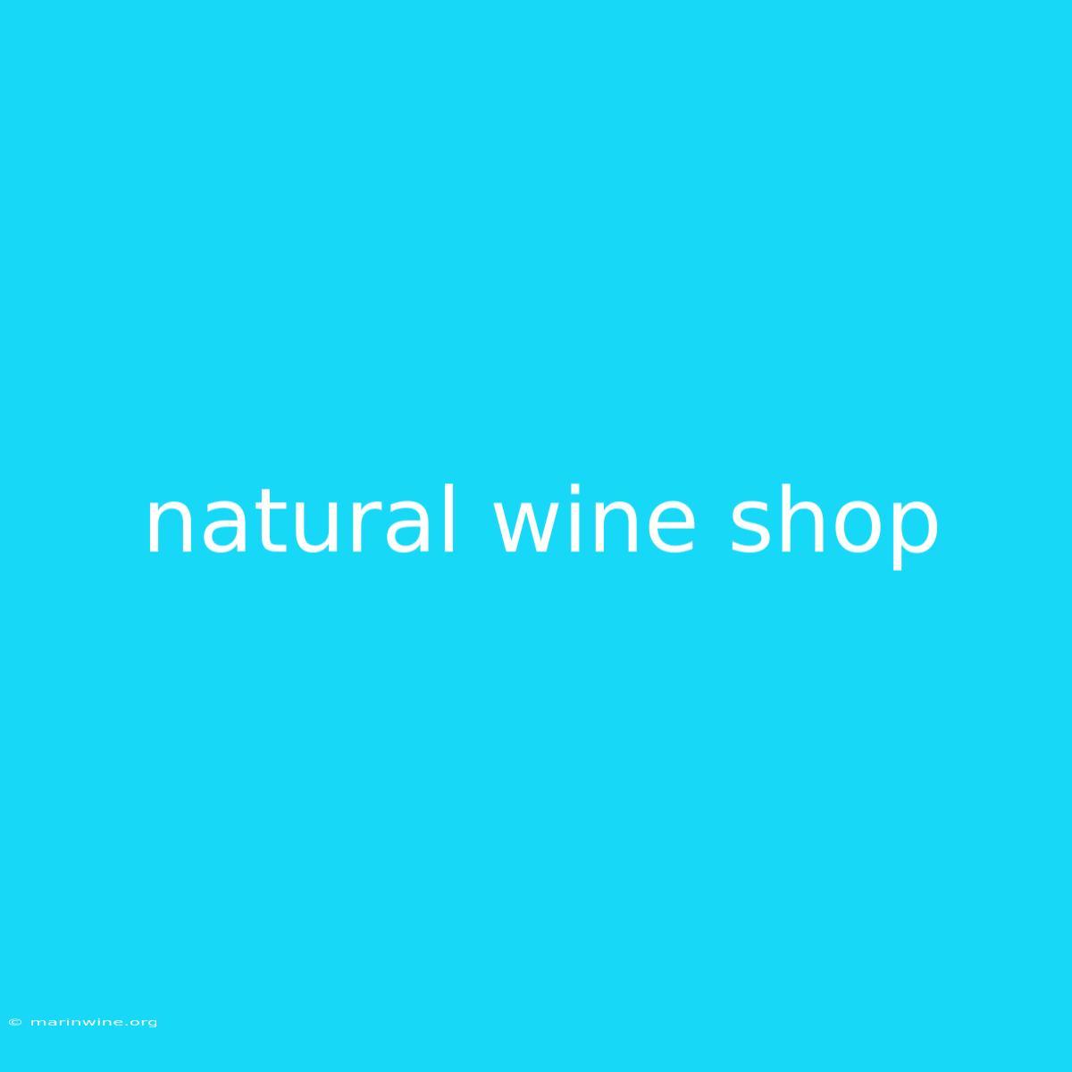 Natural Wine Shop