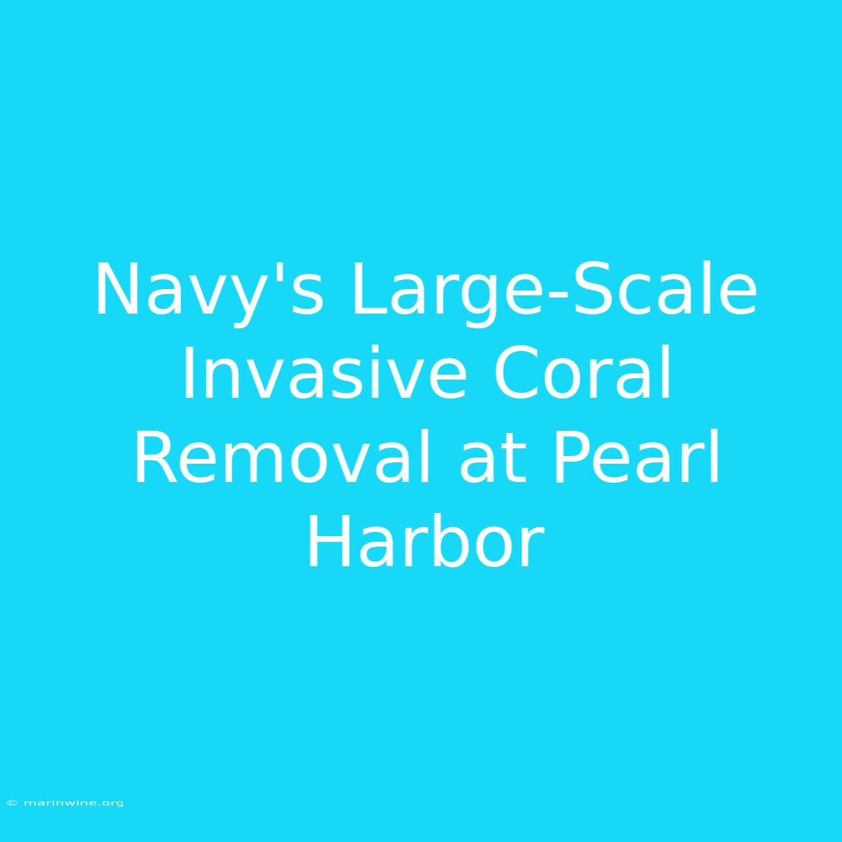 Navy's Large-Scale Invasive Coral Removal At Pearl Harbor