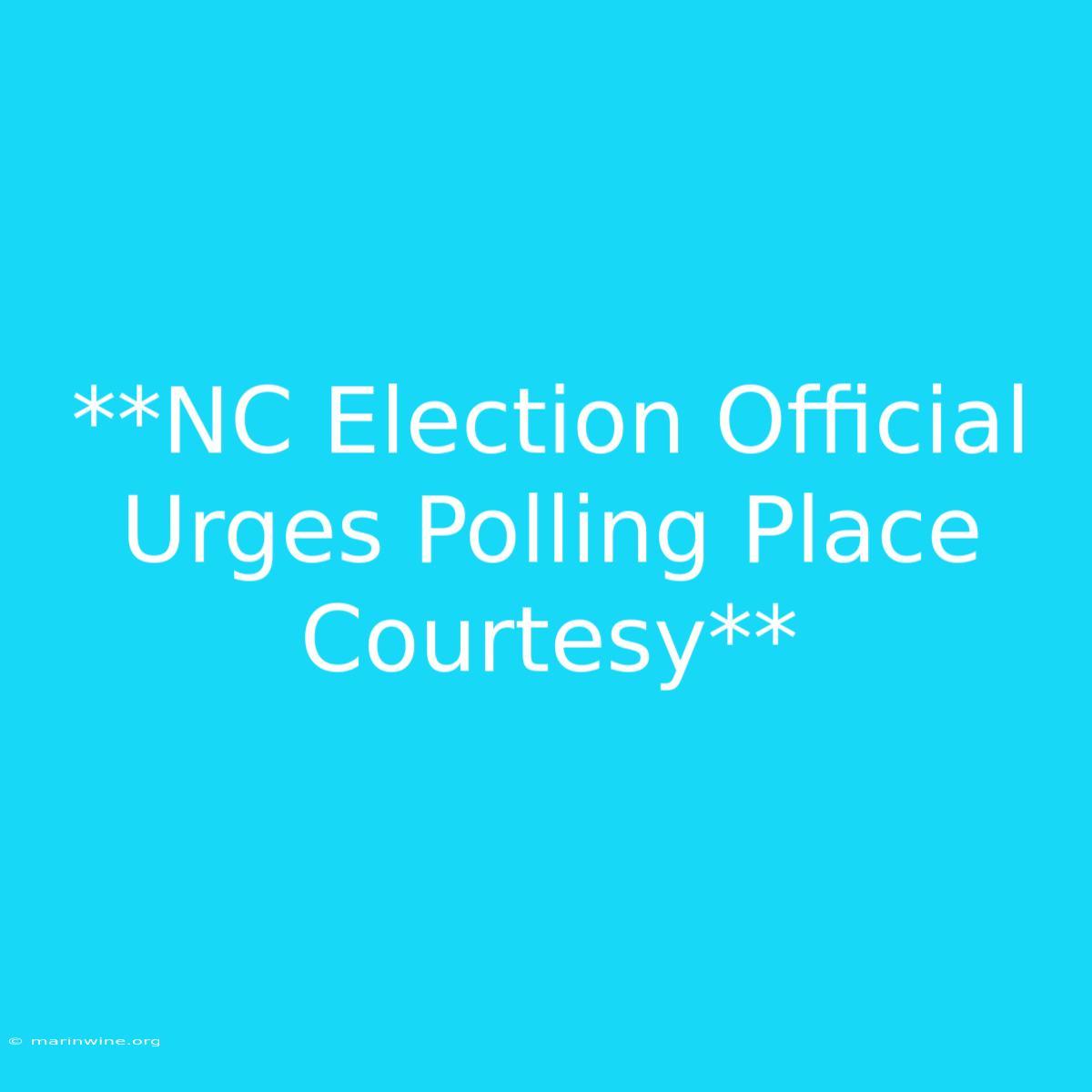 **NC Election Official Urges Polling Place Courtesy**