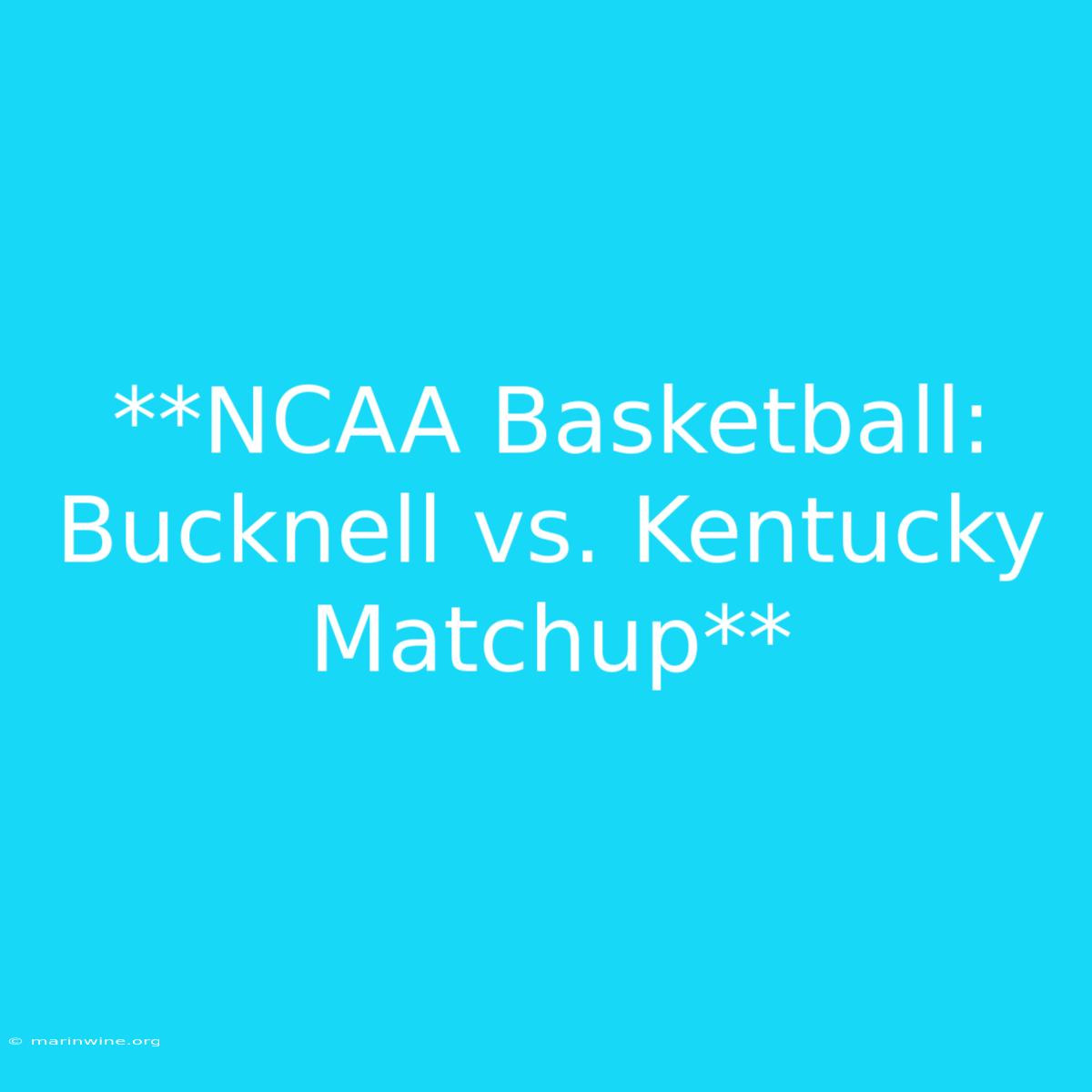 **NCAA Basketball: Bucknell Vs. Kentucky Matchup**