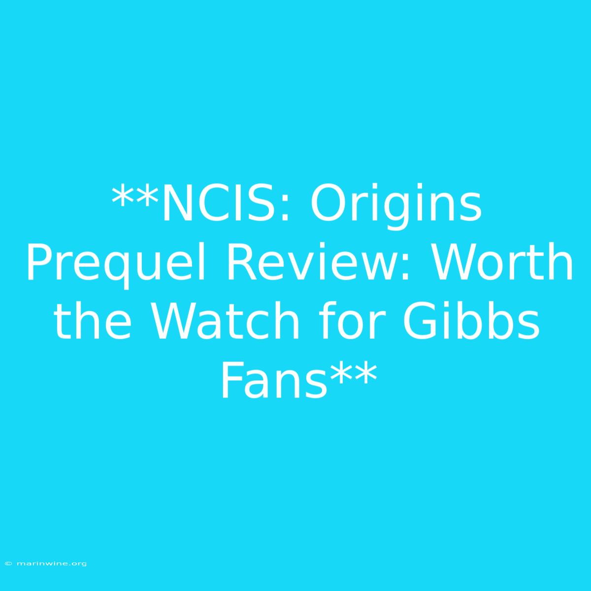 **NCIS: Origins Prequel Review: Worth The Watch For Gibbs Fans** 