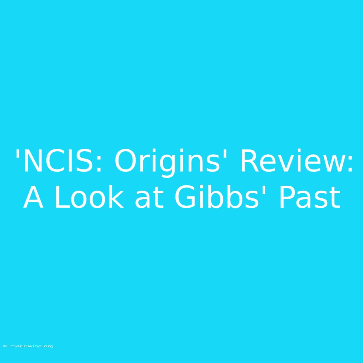 'NCIS: Origins' Review: A Look At Gibbs' Past