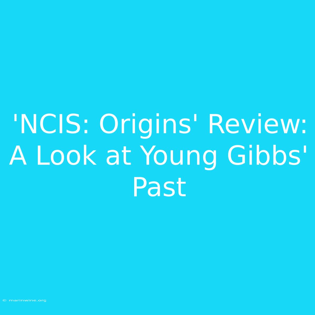 'NCIS: Origins' Review:  A Look At Young Gibbs' Past