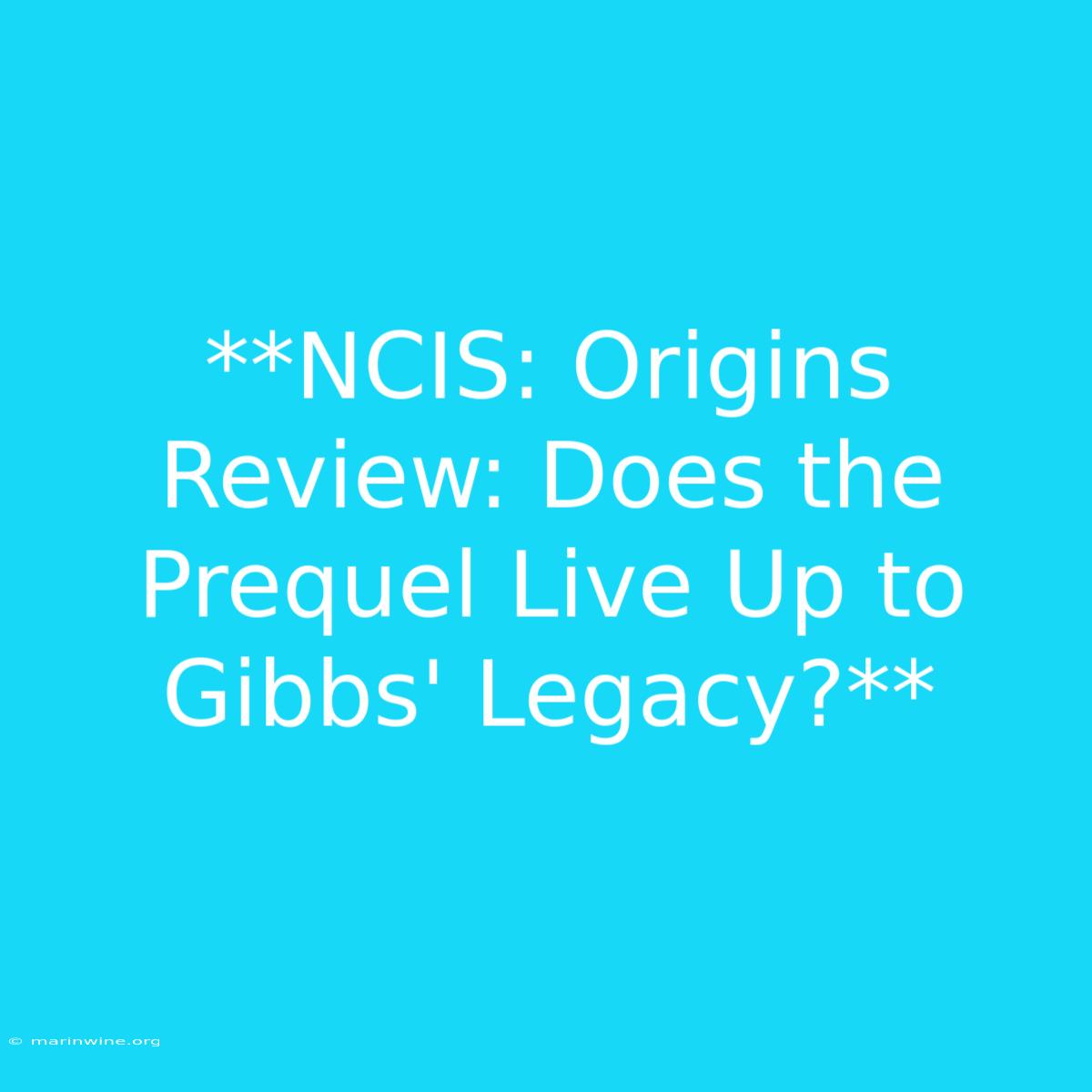 **NCIS: Origins Review: Does The Prequel Live Up To Gibbs' Legacy?** 