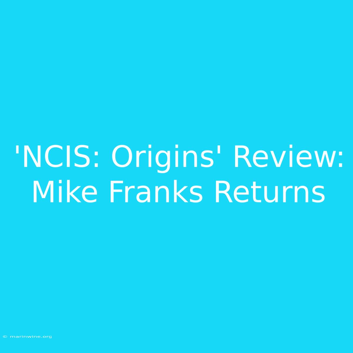 'NCIS: Origins' Review: Mike Franks Returns 