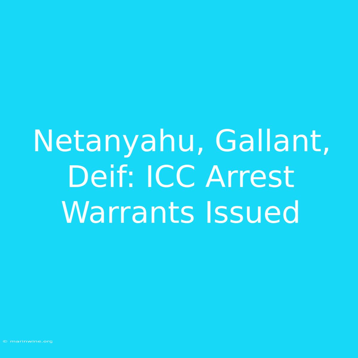 Netanyahu, Gallant, Deif: ICC Arrest Warrants Issued