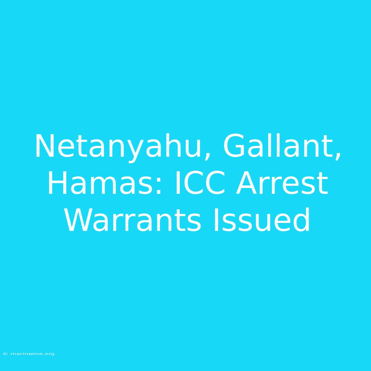 Netanyahu, Gallant, Hamas: ICC Arrest Warrants Issued