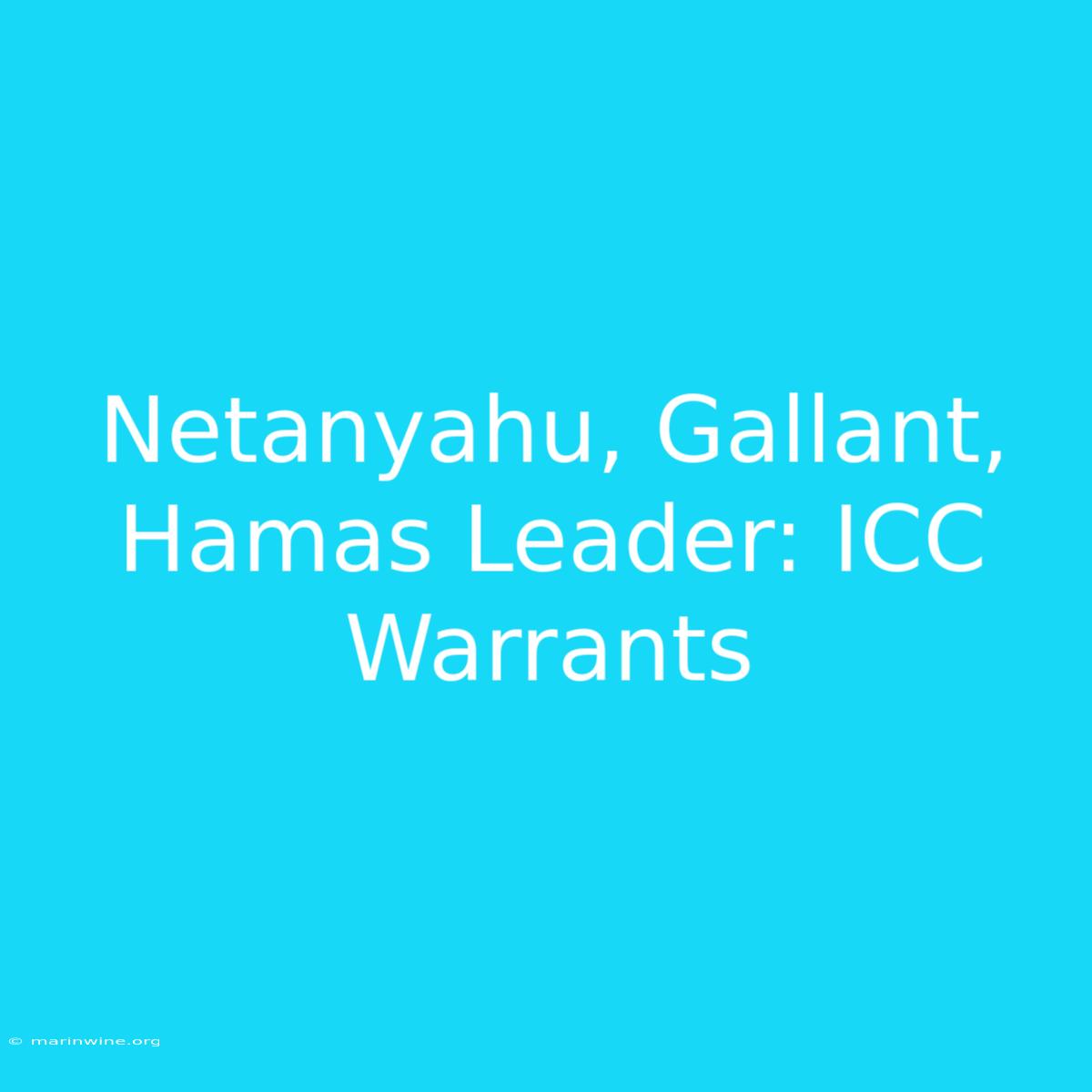 Netanyahu, Gallant, Hamas Leader: ICC Warrants