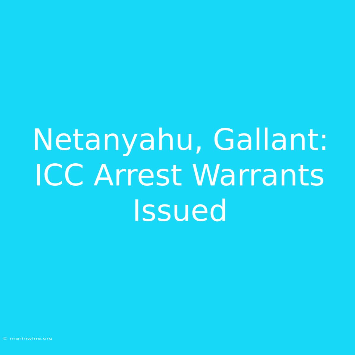 Netanyahu, Gallant: ICC Arrest Warrants Issued