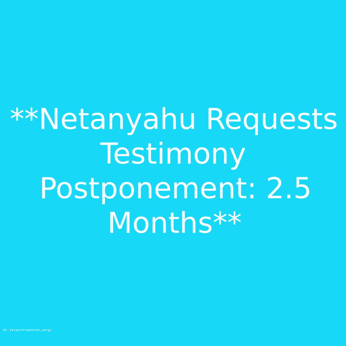 **Netanyahu Requests Testimony Postponement: 2.5 Months**