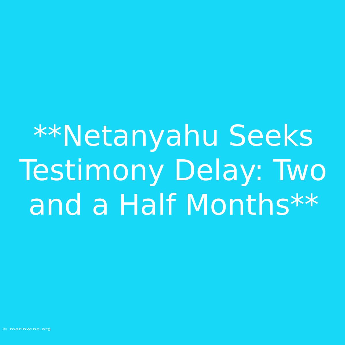 **Netanyahu Seeks Testimony Delay: Two And A Half Months**