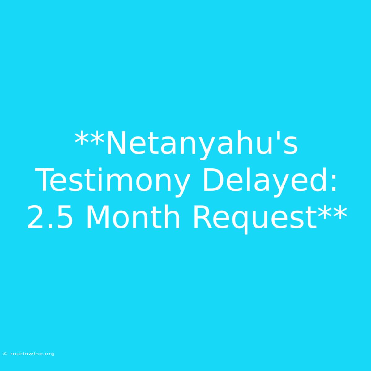 **Netanyahu's Testimony Delayed: 2.5 Month Request** 