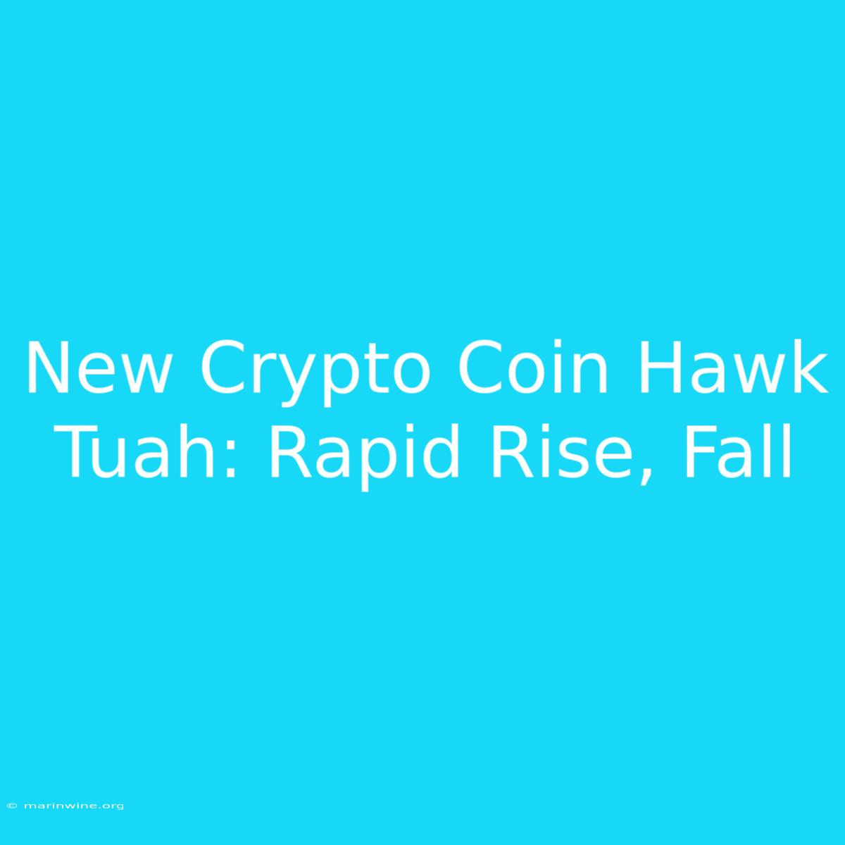 New Crypto Coin Hawk Tuah: Rapid Rise, Fall