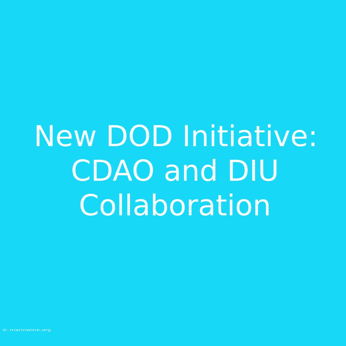 New DOD Initiative: CDAO And DIU Collaboration