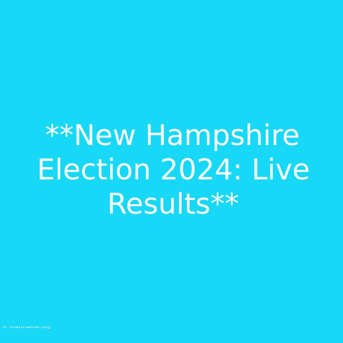 **New Hampshire Election 2024: Live Results**