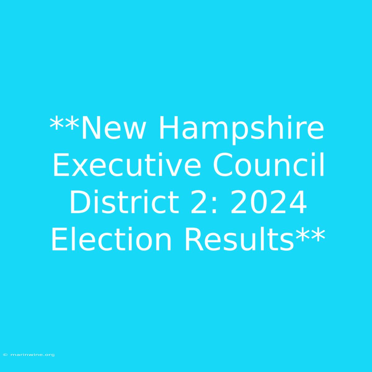 **New Hampshire Executive Council District 2: 2024 Election Results** 