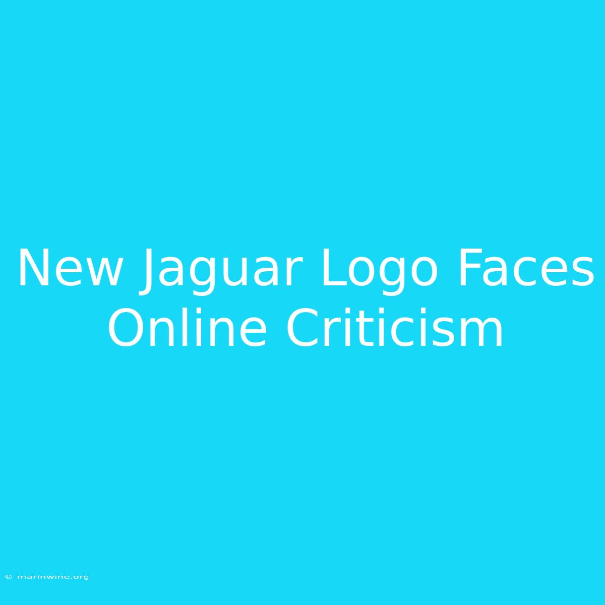 New Jaguar Logo Faces Online Criticism