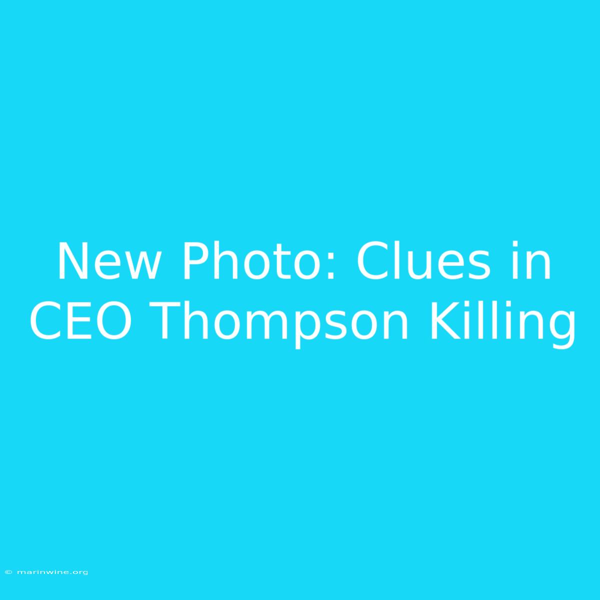 New Photo: Clues In CEO Thompson Killing