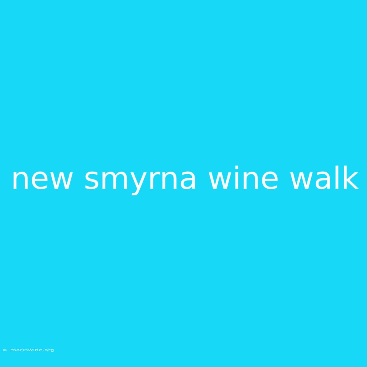 New Smyrna Wine Walk