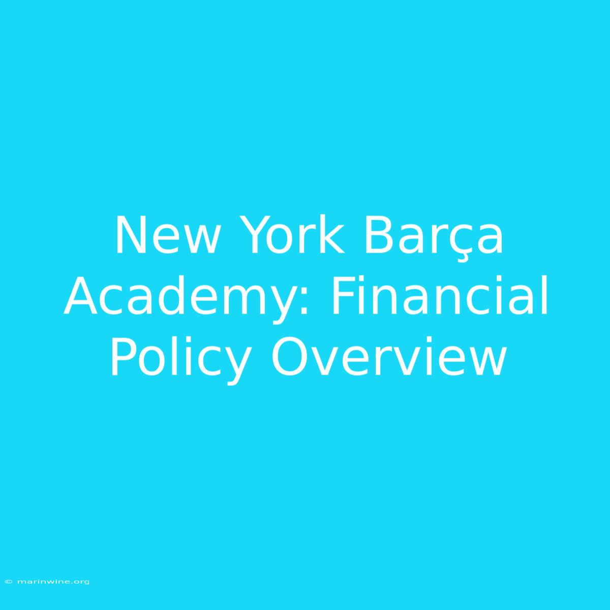 New York Barça Academy: Financial Policy Overview