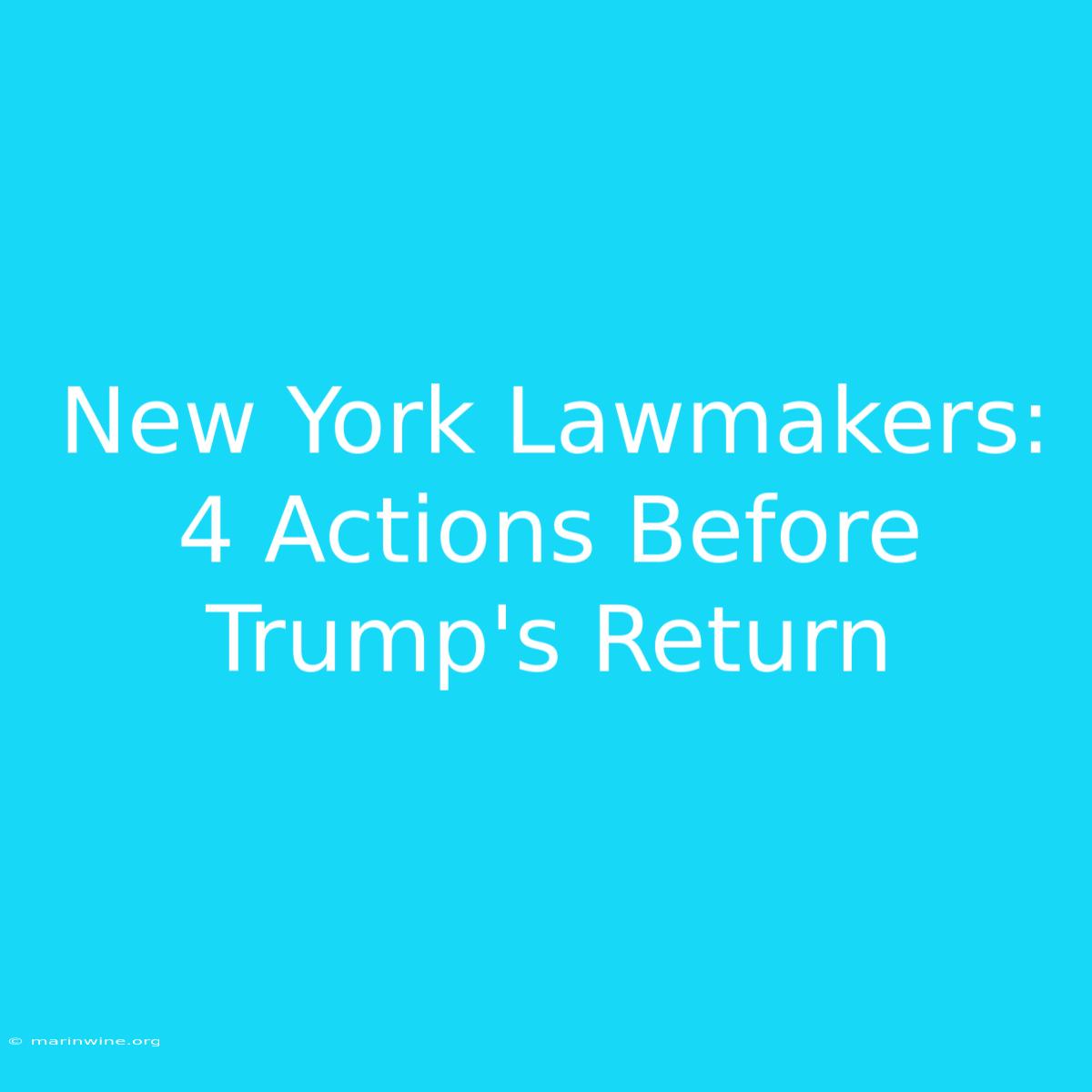 New York Lawmakers: 4 Actions Before Trump's Return