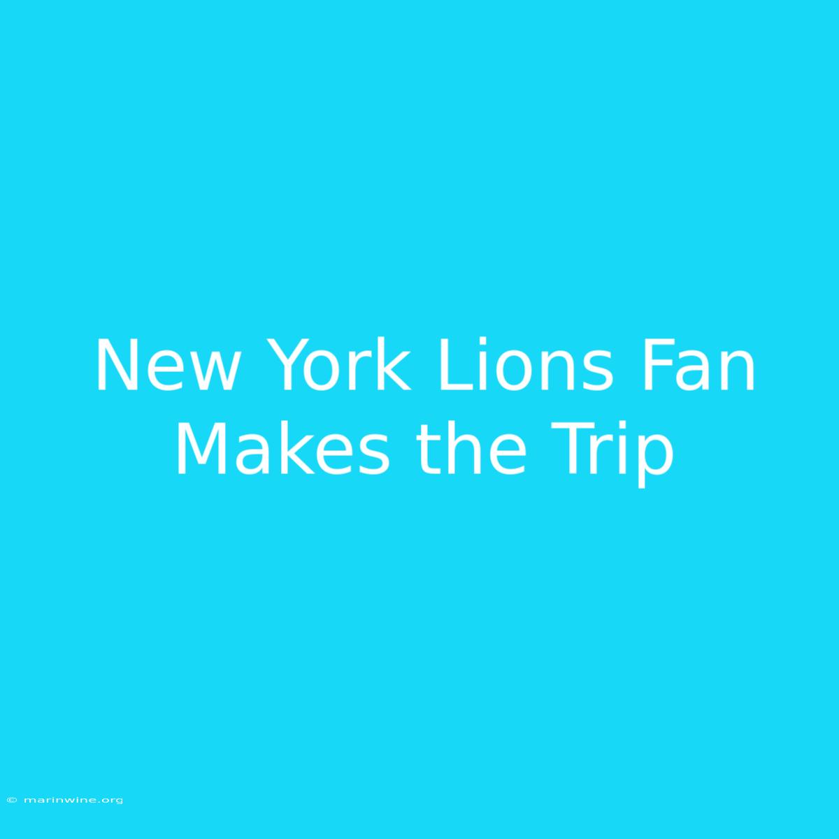 New York Lions Fan Makes The Trip