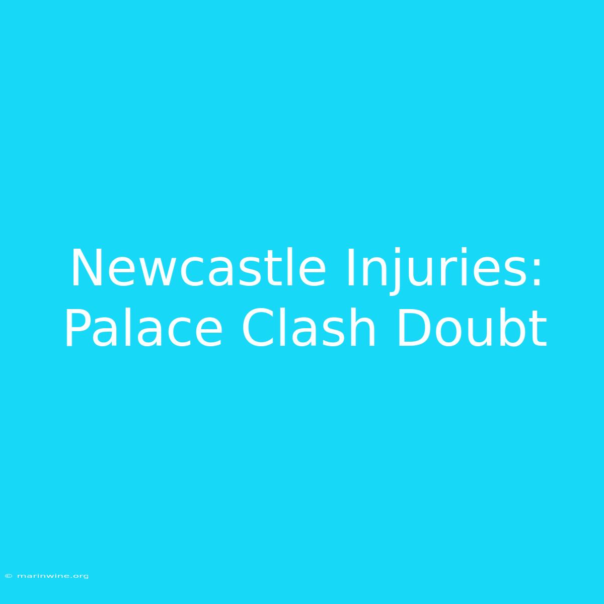 Newcastle Injuries: Palace Clash Doubt