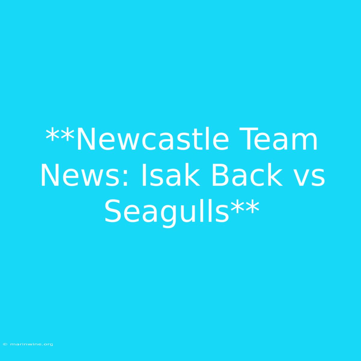 **Newcastle Team News: Isak Back Vs Seagulls** 