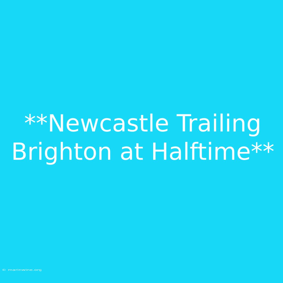 **Newcastle Trailing Brighton At Halftime** 