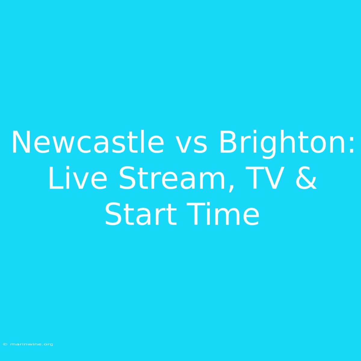 Newcastle Vs Brighton: Live Stream, TV & Start Time