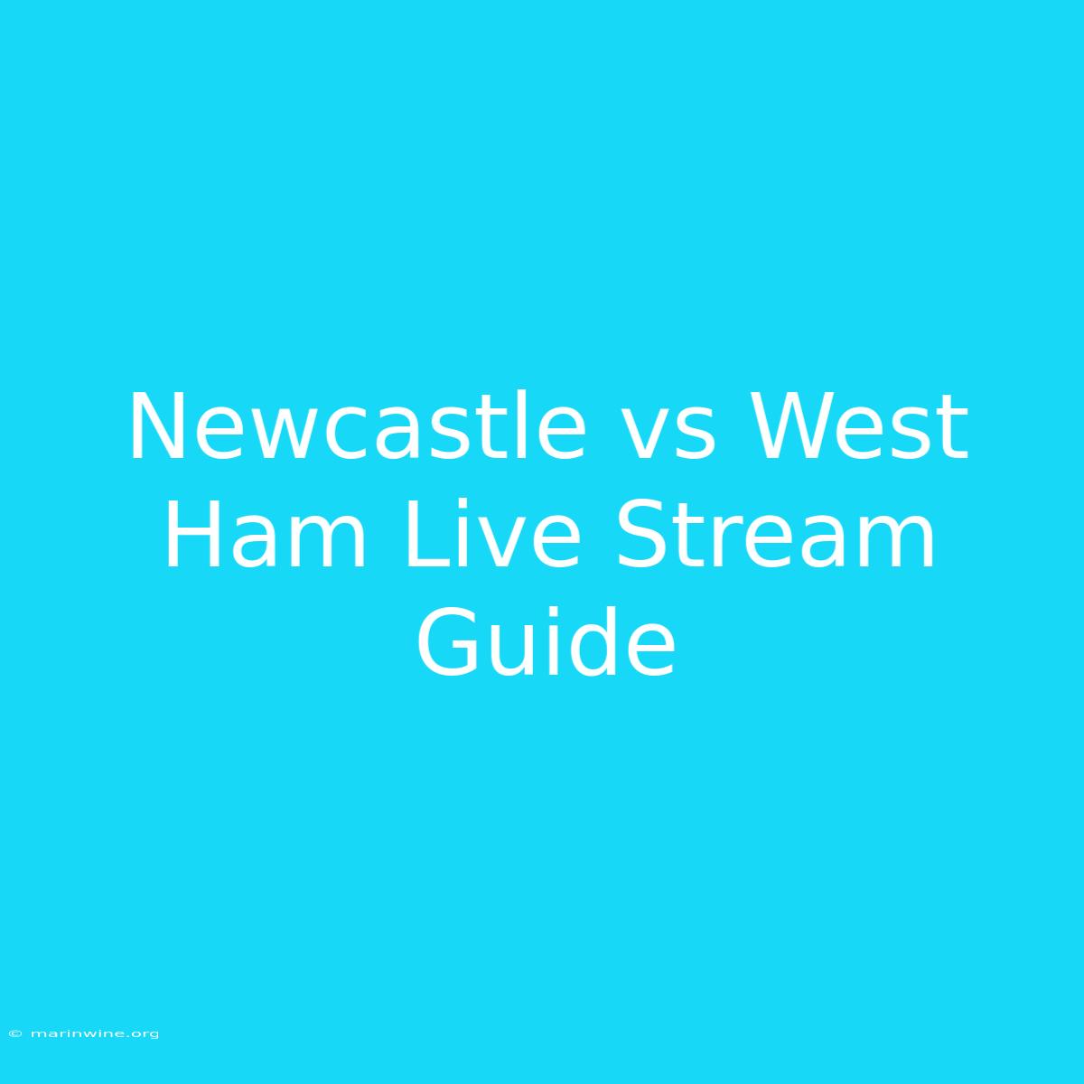 Newcastle Vs West Ham Live Stream Guide