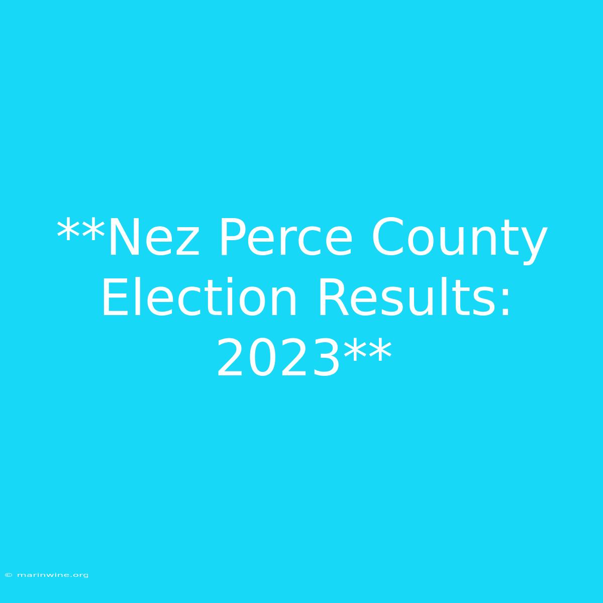 **Nez Perce County Election Results: 2023** 