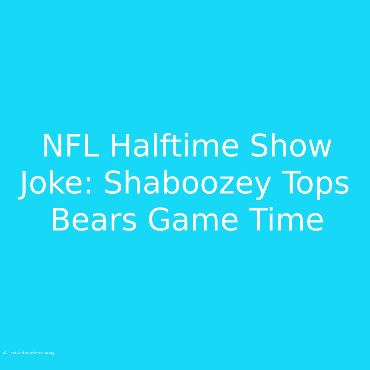 NFL Halftime Show Joke: Shaboozey Tops Bears Game Time