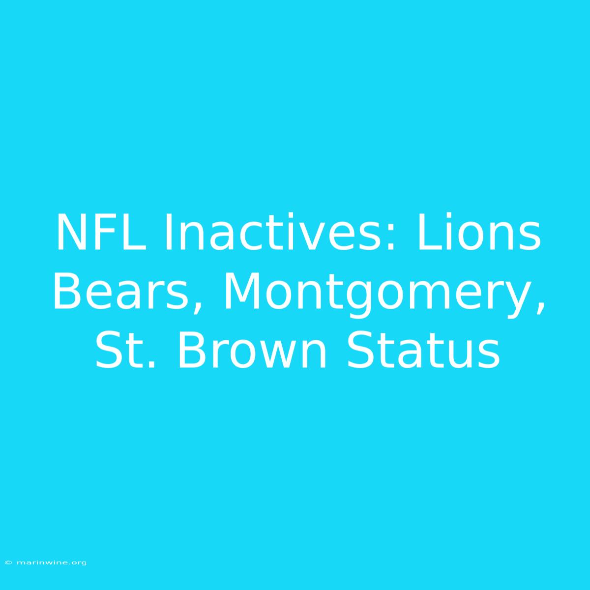 NFL Inactives: Lions Bears, Montgomery, St. Brown Status