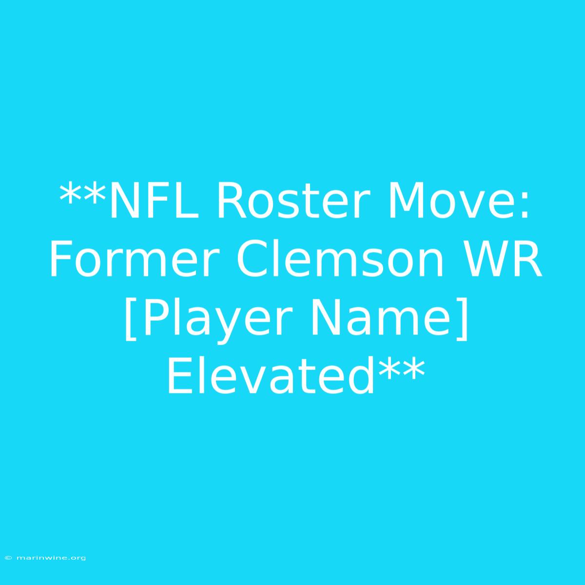 **NFL Roster Move: Former Clemson WR [Player Name] Elevated** 