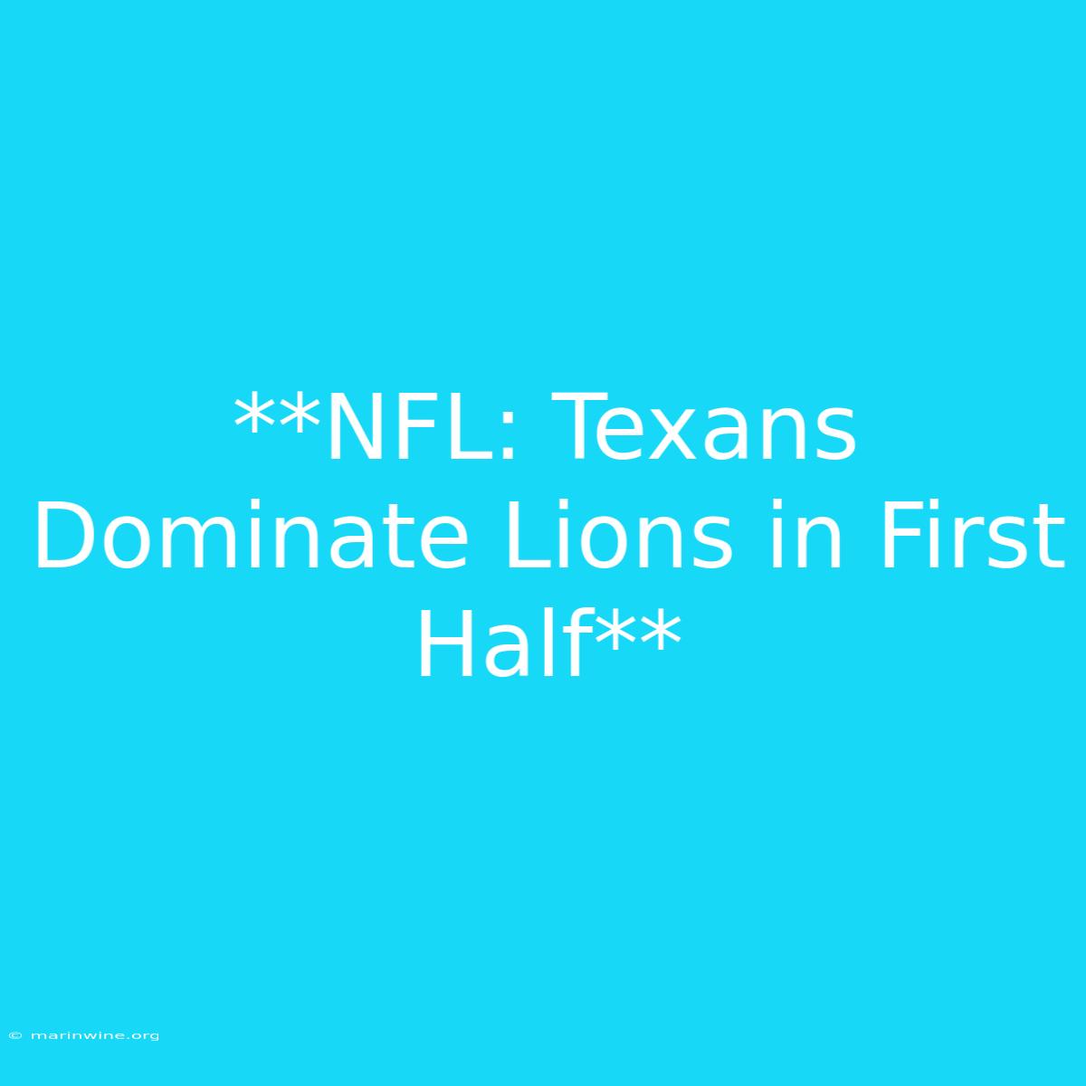 **NFL: Texans Dominate Lions In First Half**