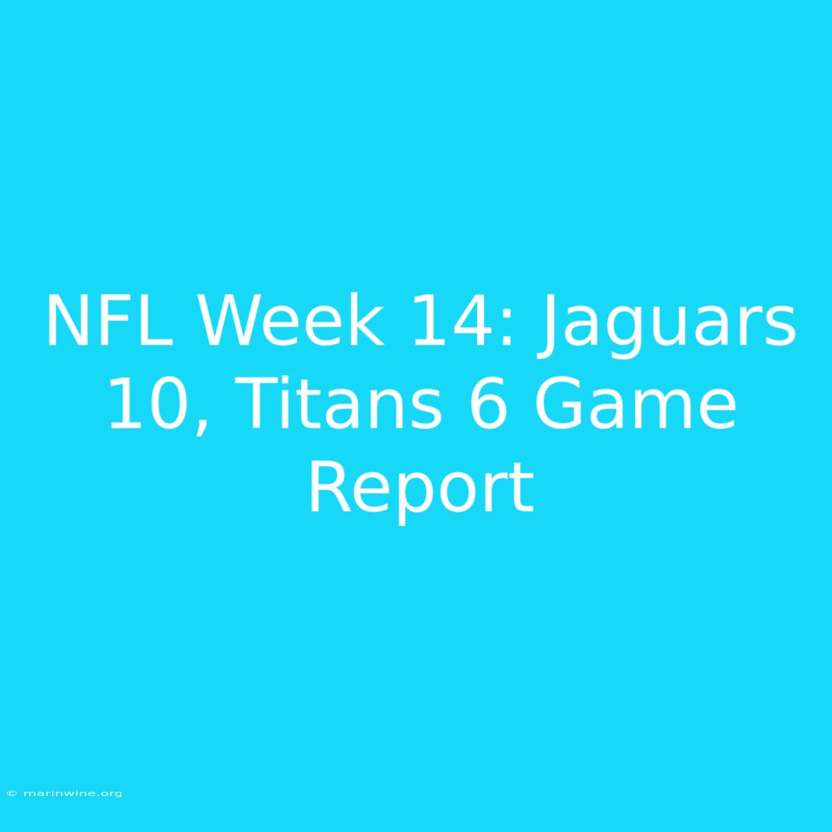 NFL Week 14: Jaguars 10, Titans 6 Game Report