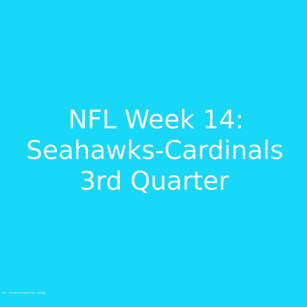 NFL Week 14: Seahawks-Cardinals 3rd Quarter