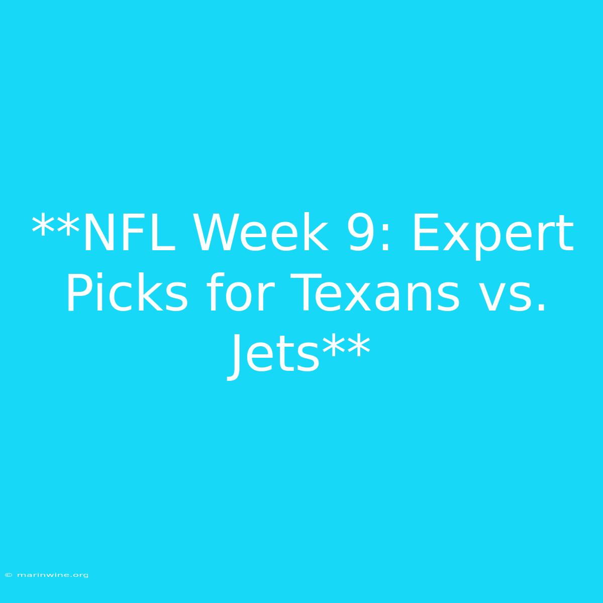 **NFL Week 9: Expert Picks For Texans Vs. Jets**